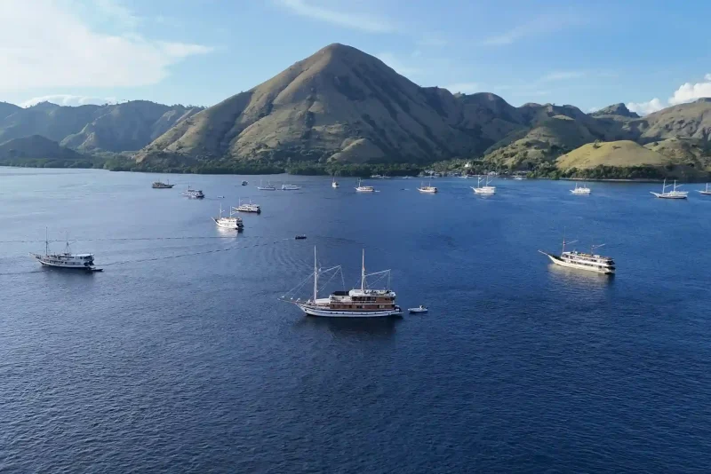 Phinisi yachts anchored in a Komodo bay