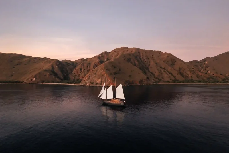 White-sailed phinisi gliding past Komodo hills