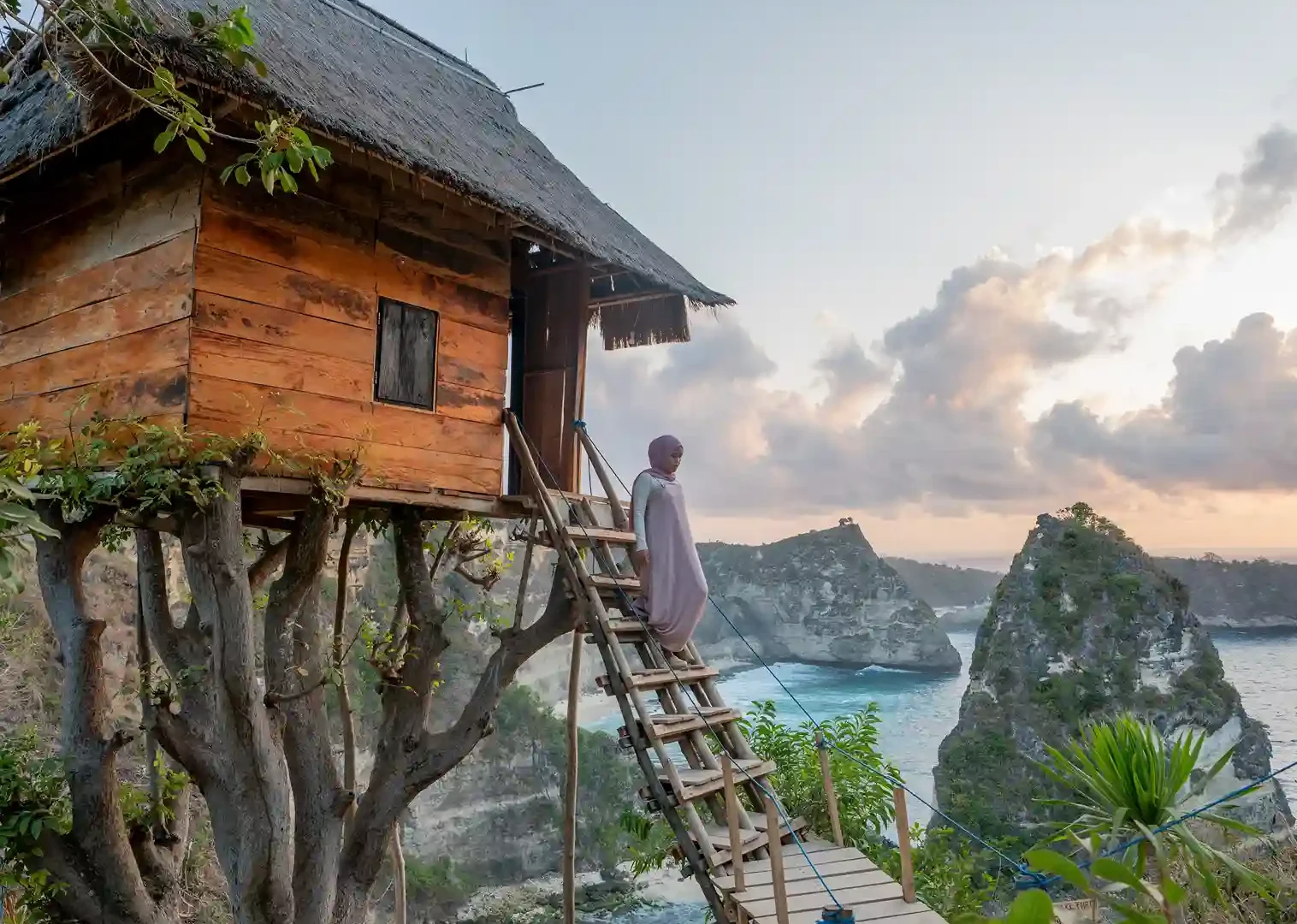 Rumah Pohon tree house overlooking the sea, Nusa Penida