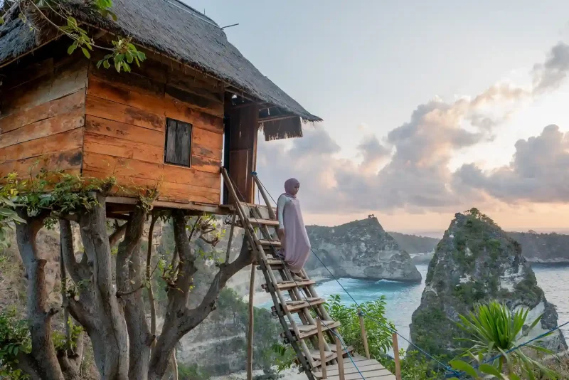 Rumah Pohon tree house overlooking the sea, Nusa Penida