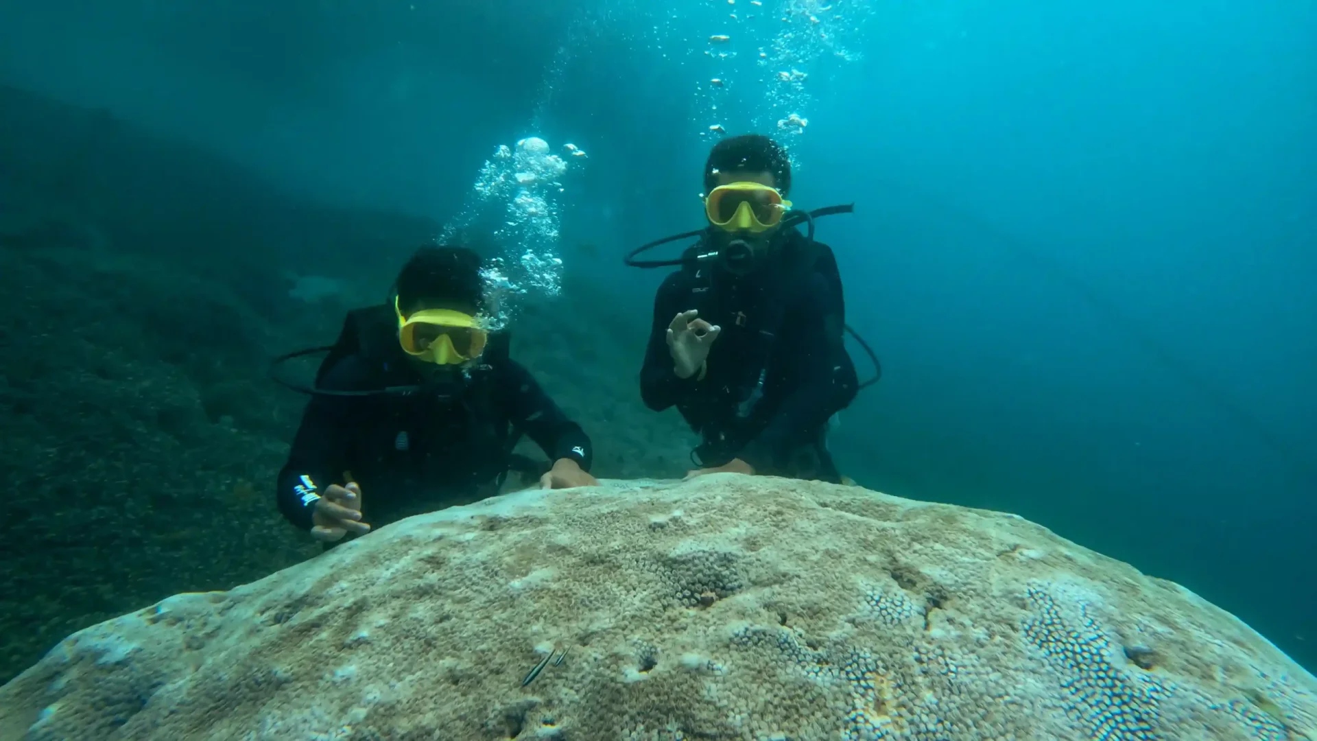 Two scuba divers over a coral reef